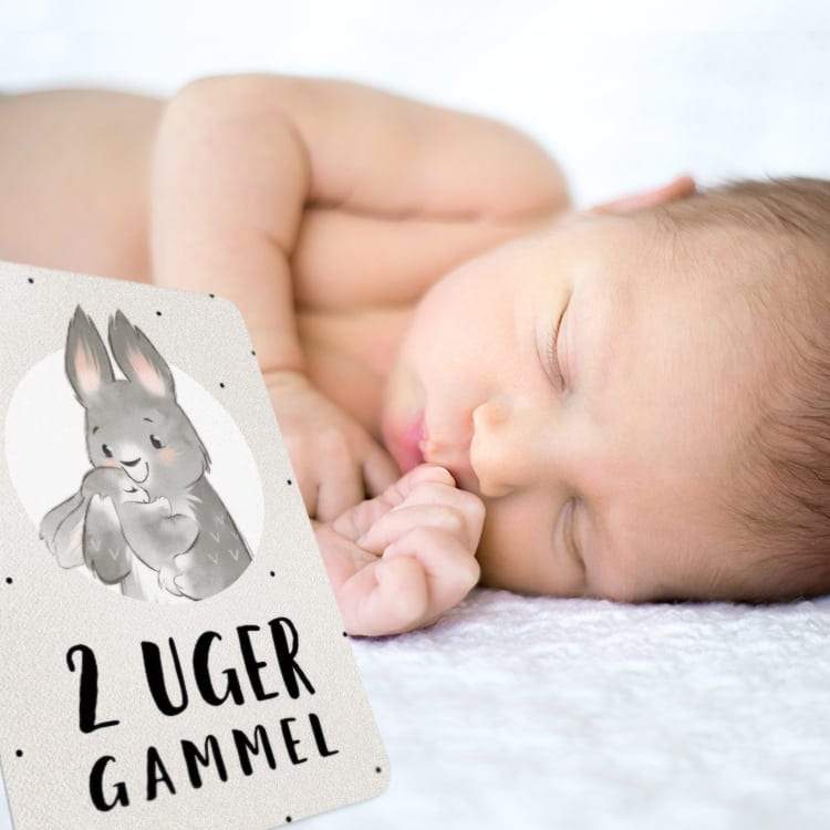 Milepælskort - Buump